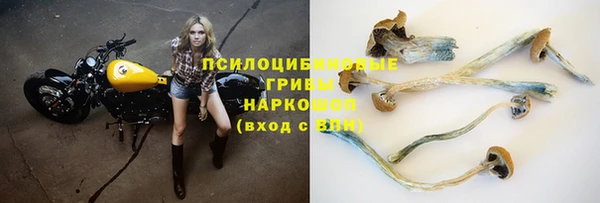 ECSTASY Богородск