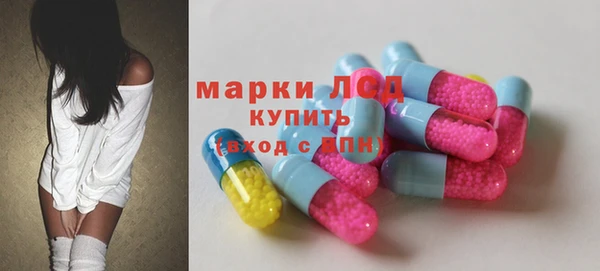 ECSTASY Богородск