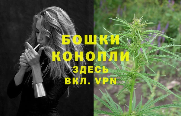 ECSTASY Богородск