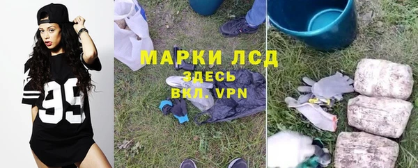бошки Богданович