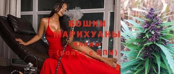 бошки Богданович