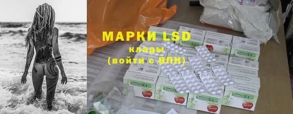 ECSTASY Богородск